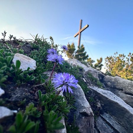 Ferienwohnung Gasser Hahnenkamm Blick Reutte Εξωτερικό φωτογραφία