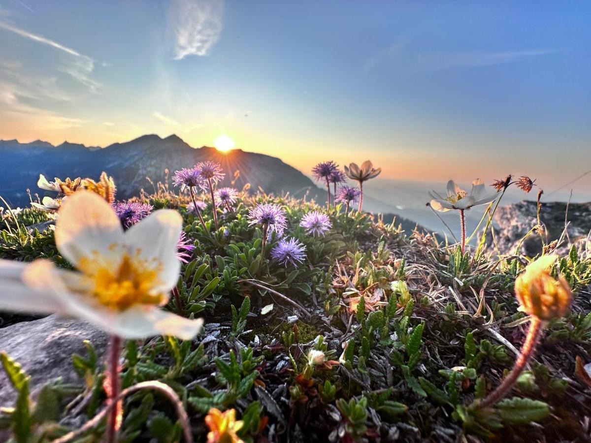 Ferienwohnung Gasser Hahnenkamm Blick Reutte Εξωτερικό φωτογραφία